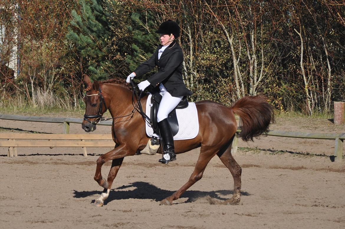 DSP Chanell billede 2