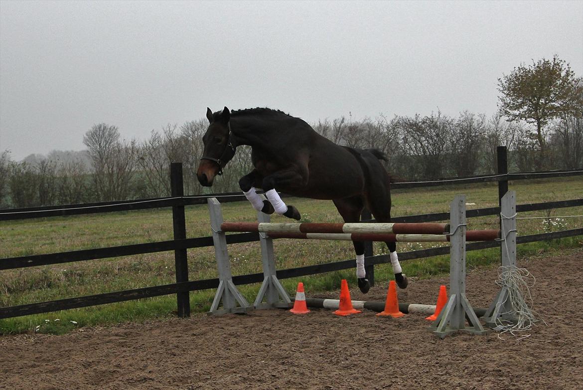 Oldenborg søstedgård's honey billede 7