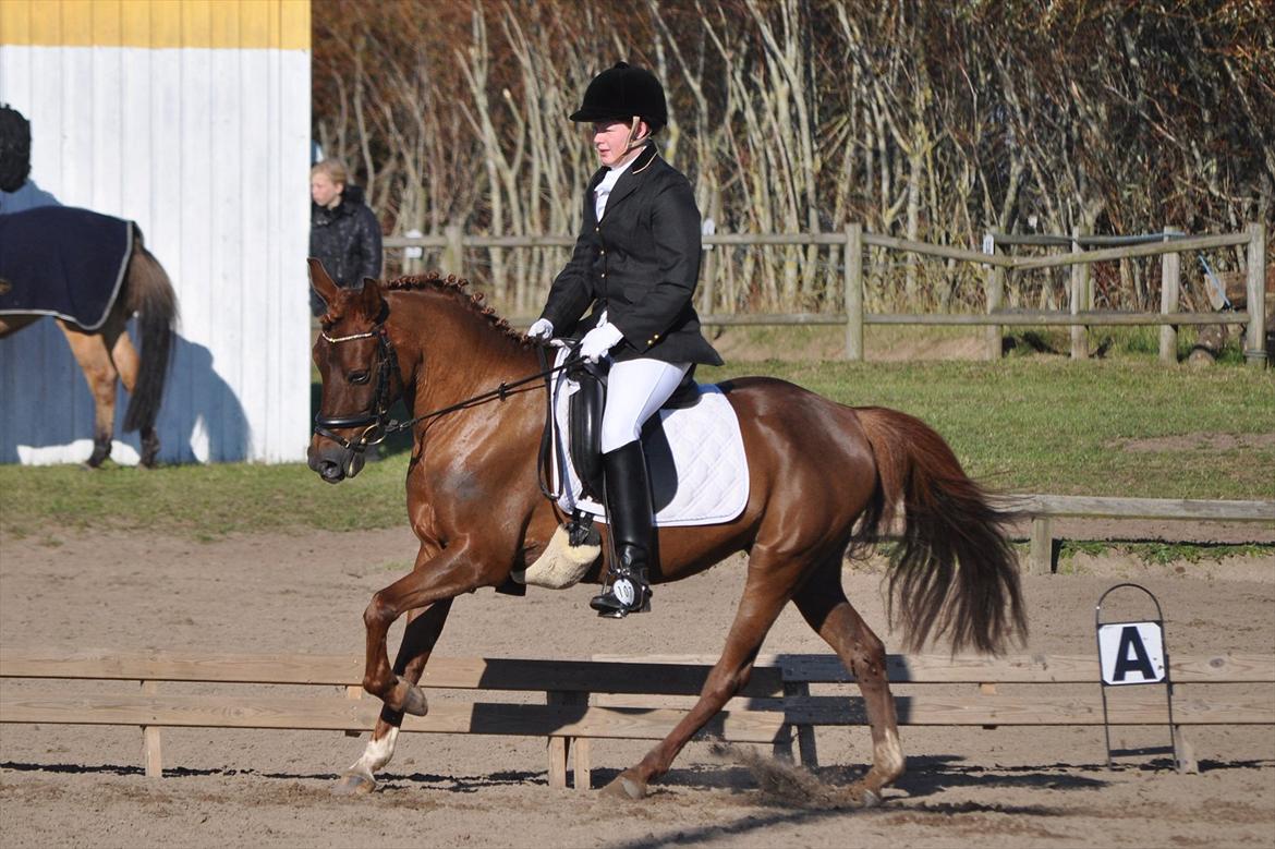 DSP Chanell billede 20