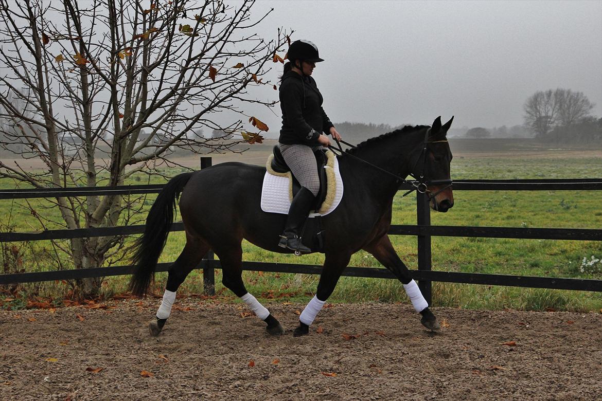 Oldenborg søstedgård's honey billede 10