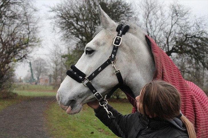 Anden særlig race smallwells sandy sapphire billede 10