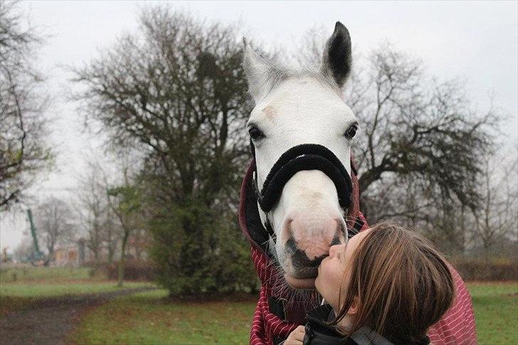 Anden særlig race smallwells sandy sapphire billede 11