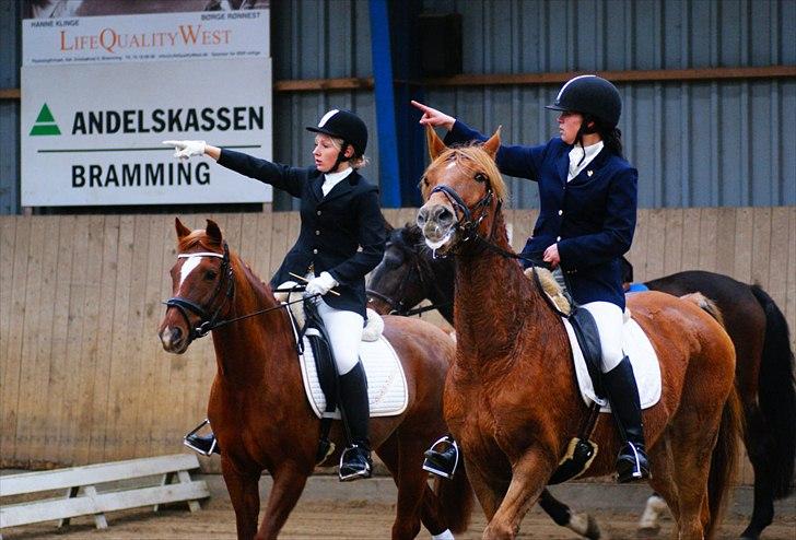 Anden særlig race Lillegårds Tøsen - Mie og Sophie, 20/11-11 - Fotograf Helena. billede 3