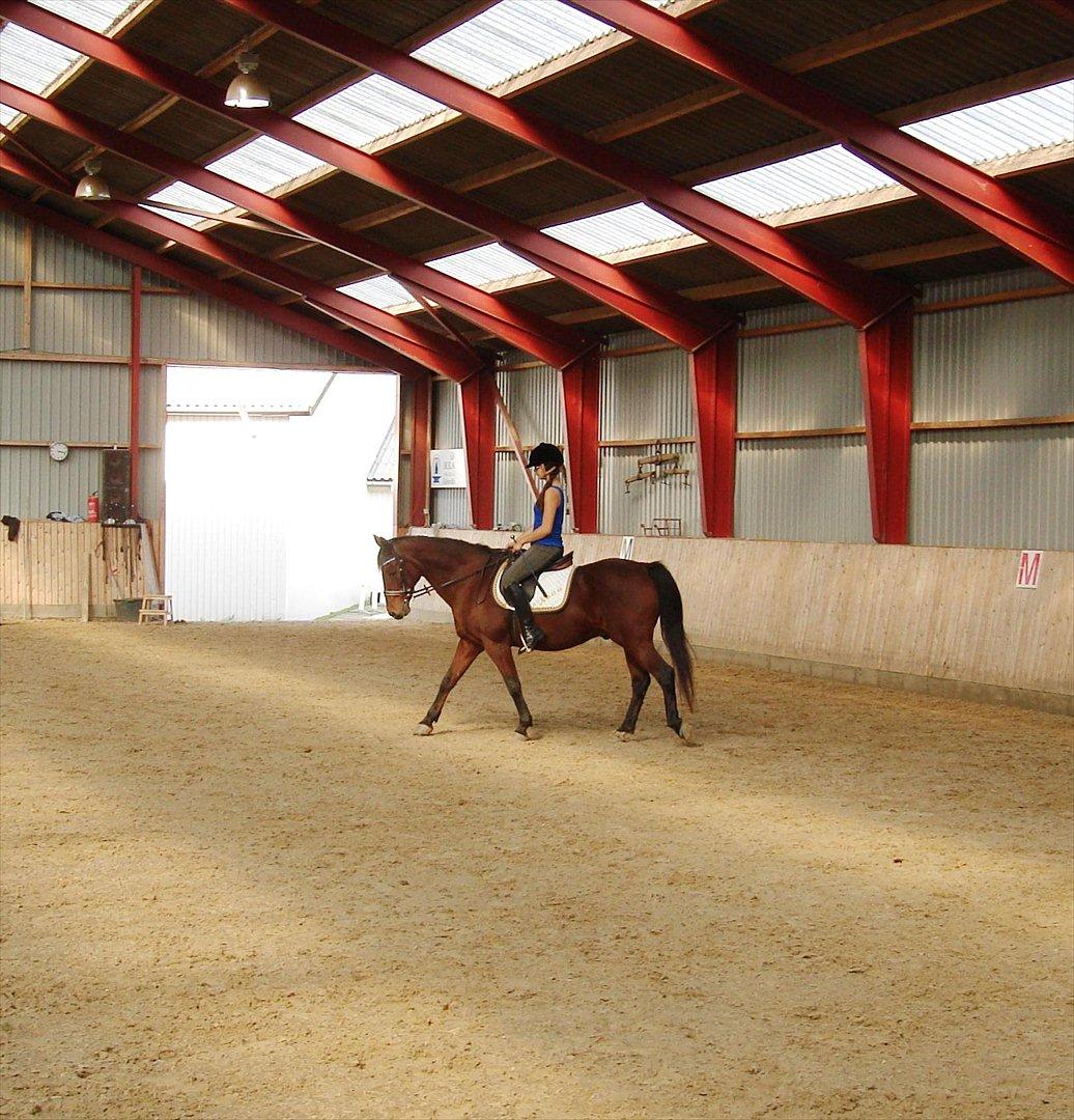 Anden særlig race Nova - Dejlig dag :* Foto: Far billede 12