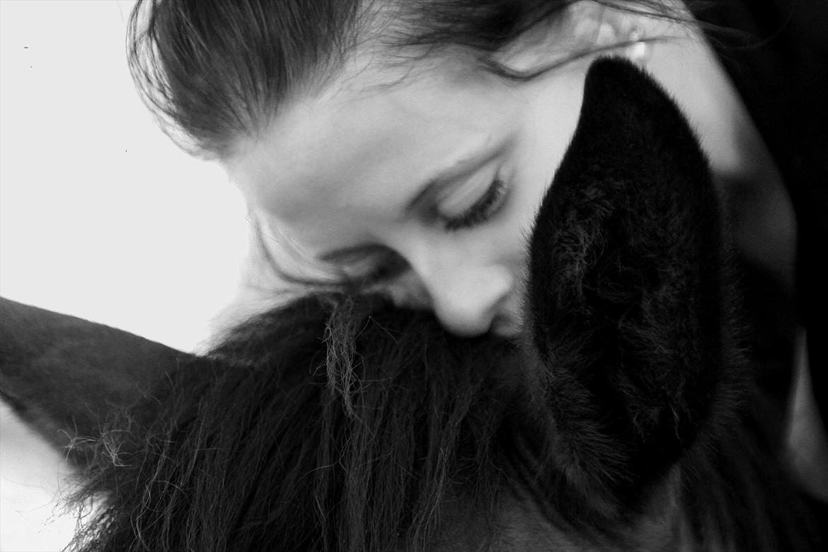 Anden særlig race Shania | R.I.P Savnet! - Savner dig så ubeskriveligt meget ! Jeg bliver aldrig den samme uden dig..
Det skulle ikke ende sådan. <3 billede 1