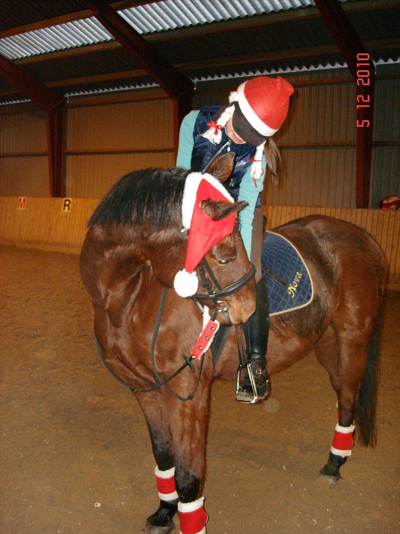 Anden særlig race Nova - Jul sidste år <3 billede 15