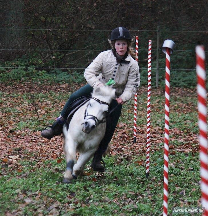 Anden særlig race Kasper - Games billede 2