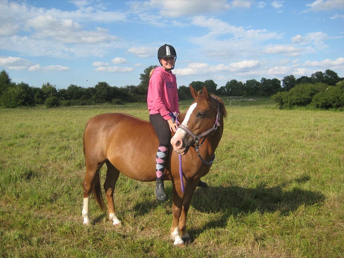 Anden særlig race Safi Rubin (SOLGT) billede 19