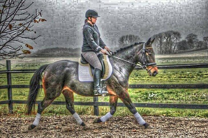 Oldenborg søstedgård's honey billede 11