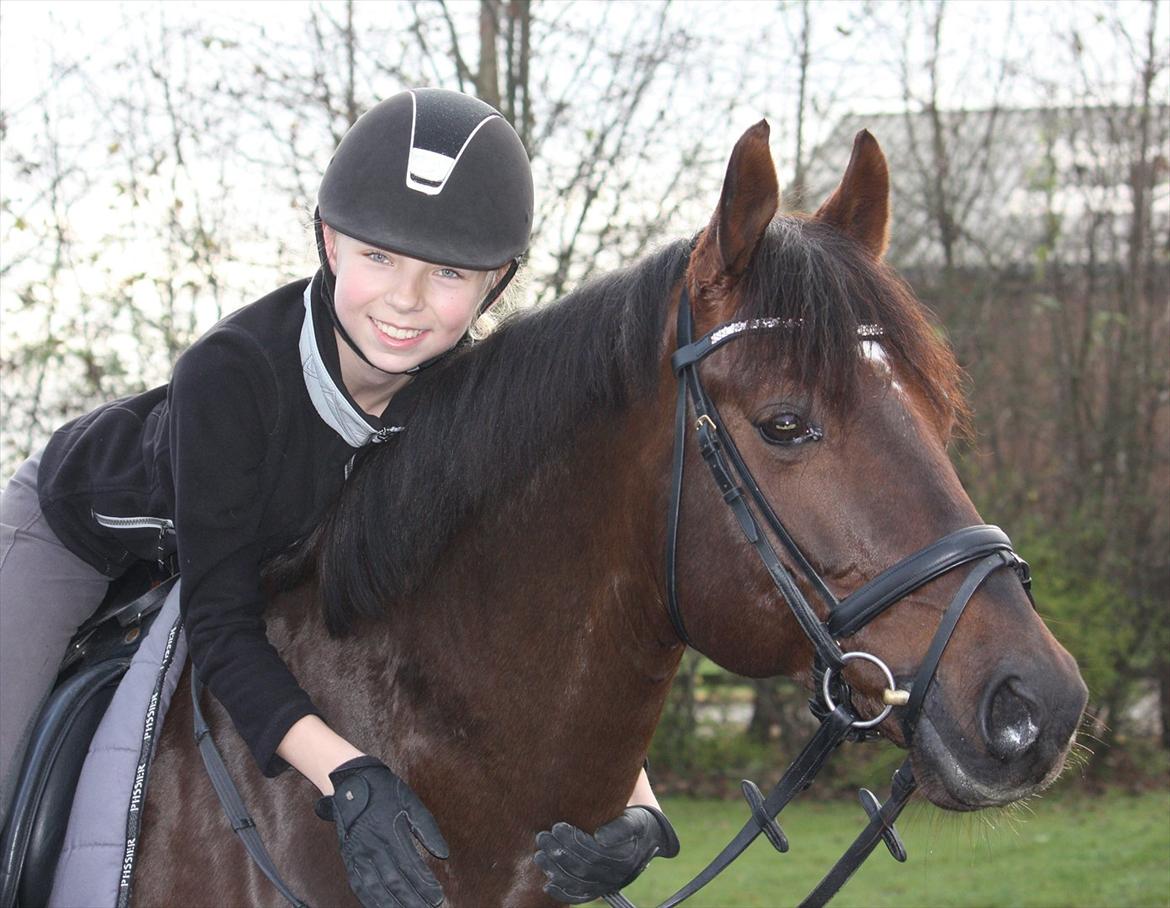 Tysk Sportspony Campari WE A-Pony - 1: Den 20 nov. 2011 - 3. gang jeg rider ham
Foto: Sally Klinge Clausen billede 1