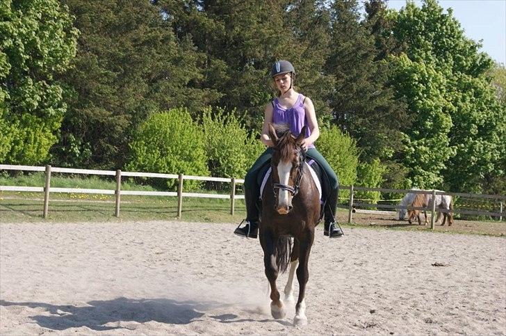 Anden særlig race Lamona <3 billede 11