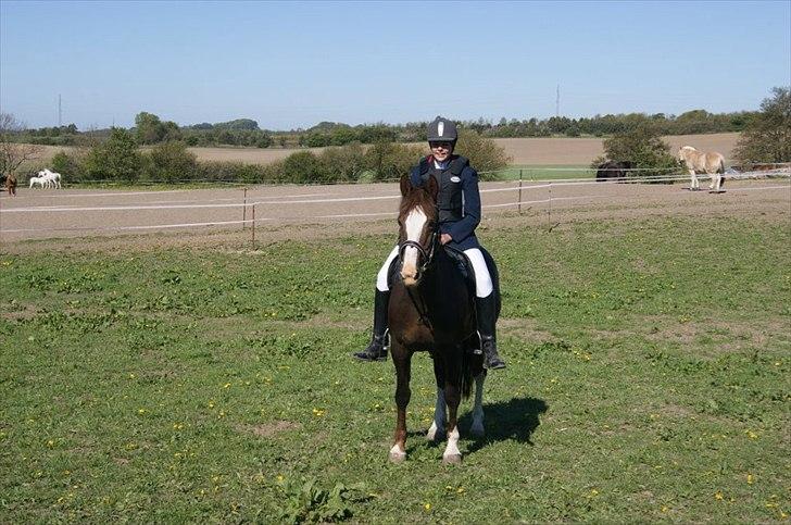 Anden særlig race Lamona <3 billede 15