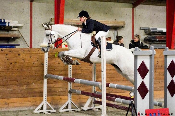 Anden særlig race Kastkjærs Fabel billede 14