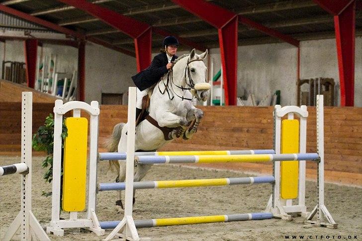 Anden særlig race Kastkjærs Fabel billede 1