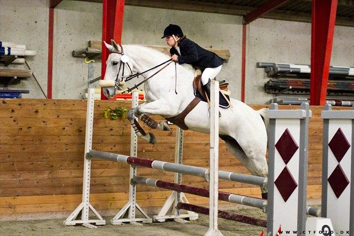 Anden særlig race Kastkjærs Fabel billede 17