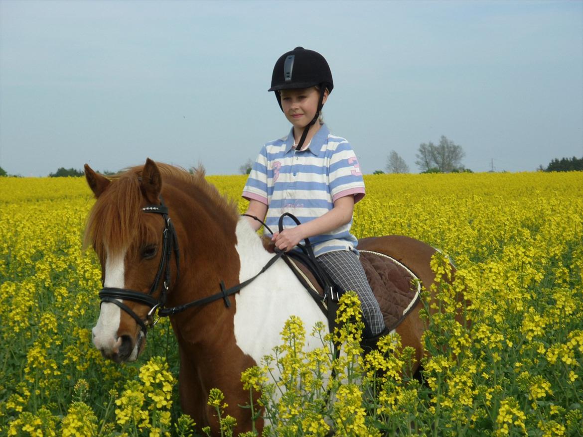 Anden særlig race Elmegårdens Sir Konrad<3 (solgt) - Velkommem til min profil ;-) billede 2