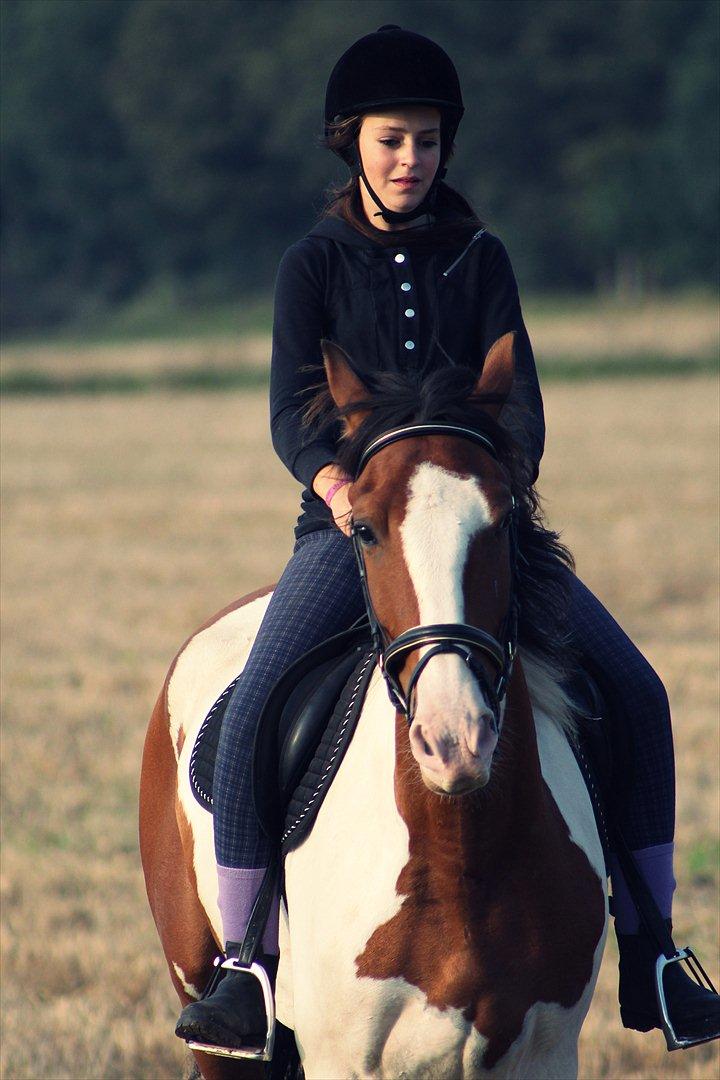 Anden særlig race Bjørnegårds Memento billede 16