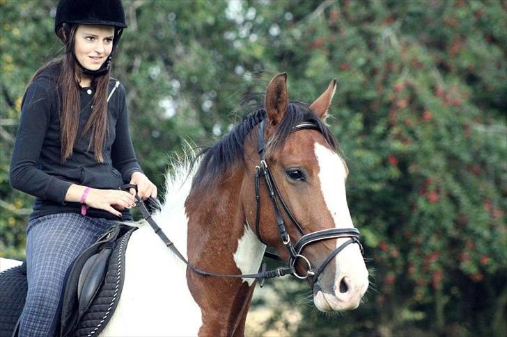 Anden særlig race Bjørnegårds Memento - <3<3 billede 19