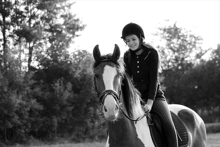 Anden særlig race Bjørnegårds Memento - Ægte kærlighed!  billede 20