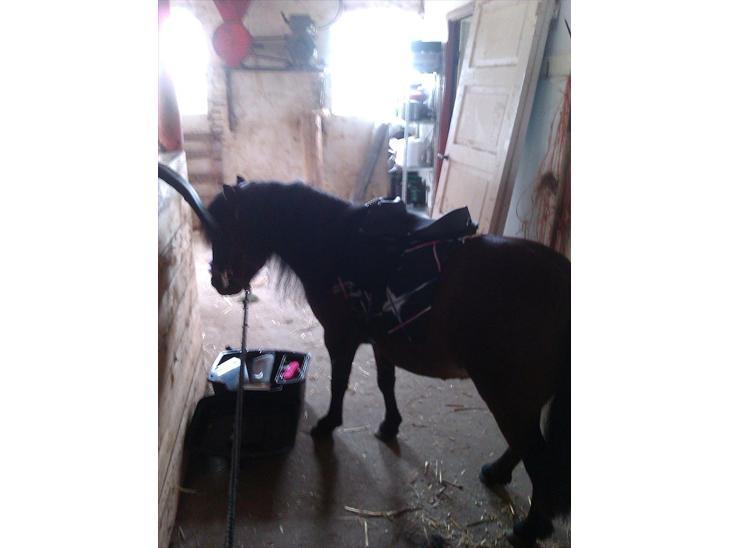 {{currentPhoto.altText}} billede {{currentPhoto.number}}