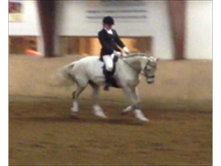 {{currentPhoto.altText}} billede {{currentPhoto.number}}