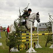 Anden særlig race - Star - (B-PONY) [HIMMEL HEST]