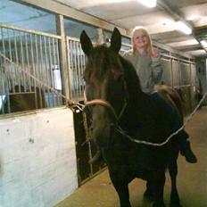 Merens de Cheval grillon