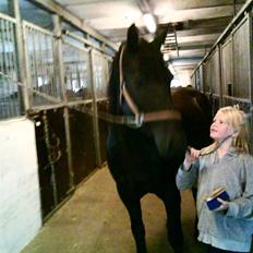 Merens de Cheval grillon