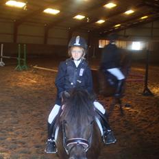 Anden særlig race Beauty 