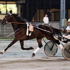 Traver Magnus Fønix