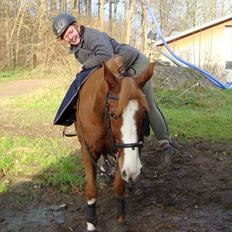 DSP Tai Tipi ( R.I.P) (hestehimmel)