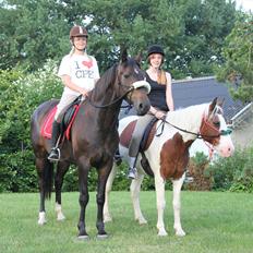 Pinto Blanding Gismoe