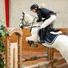 Anden særlig race Silver Jawos