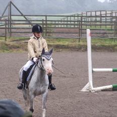 Anden særlig race Lillemand 