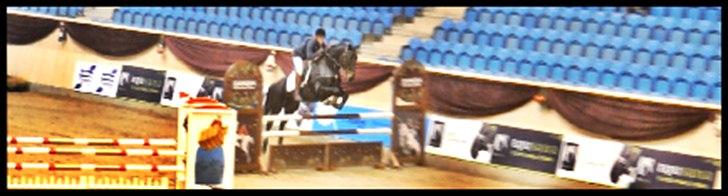 Oldenborg Moonlight - Christmas show- warm up 2011
LB* og LB** billede 10
