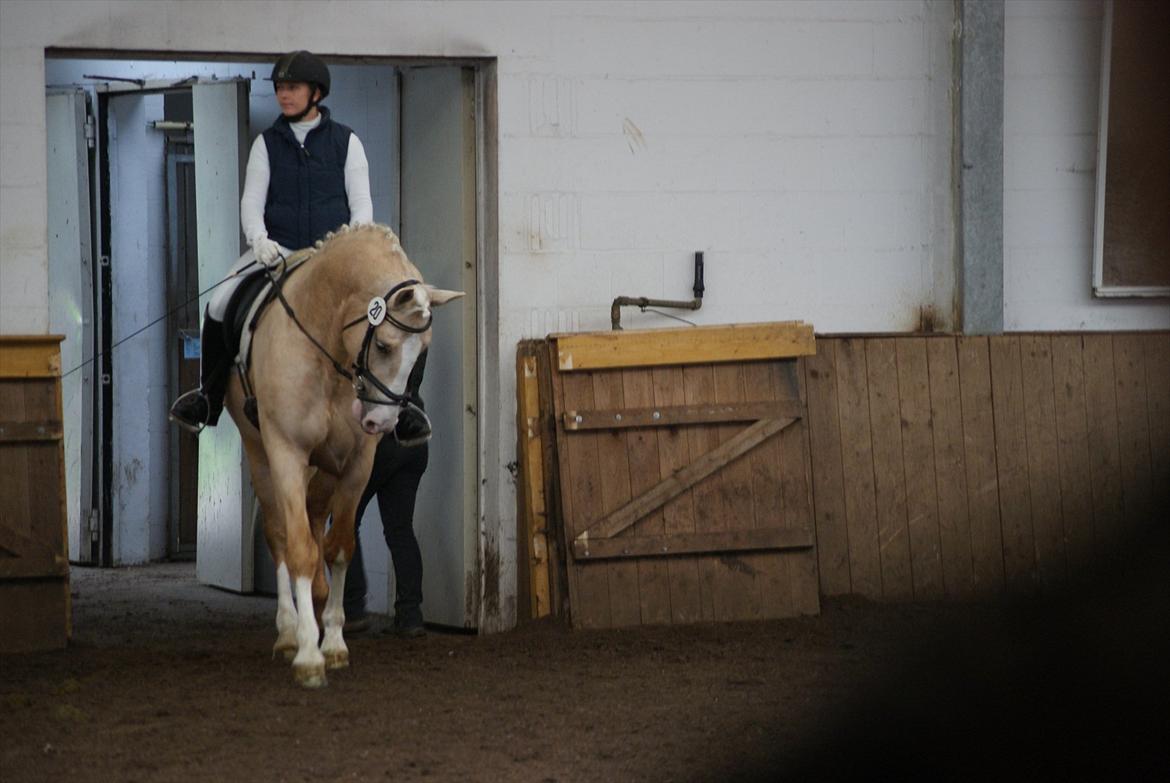 Frederiksborg Hector Krogvænget billede 7