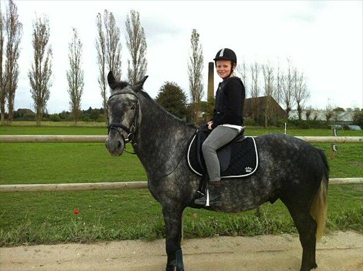 DSP Leonardo Søblink billede 6