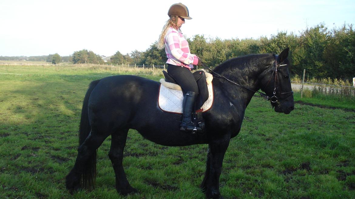 Frieser Daisy - d. 23/9 - 2011 billede 16