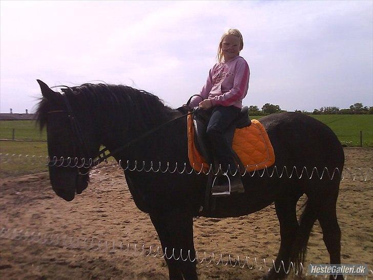 Merens de Cheval grillon billede 4