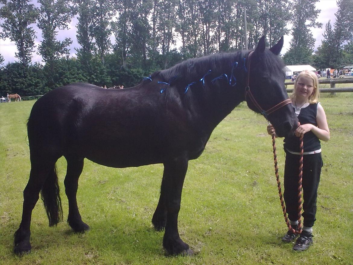 Merens de Cheval grillon billede 10