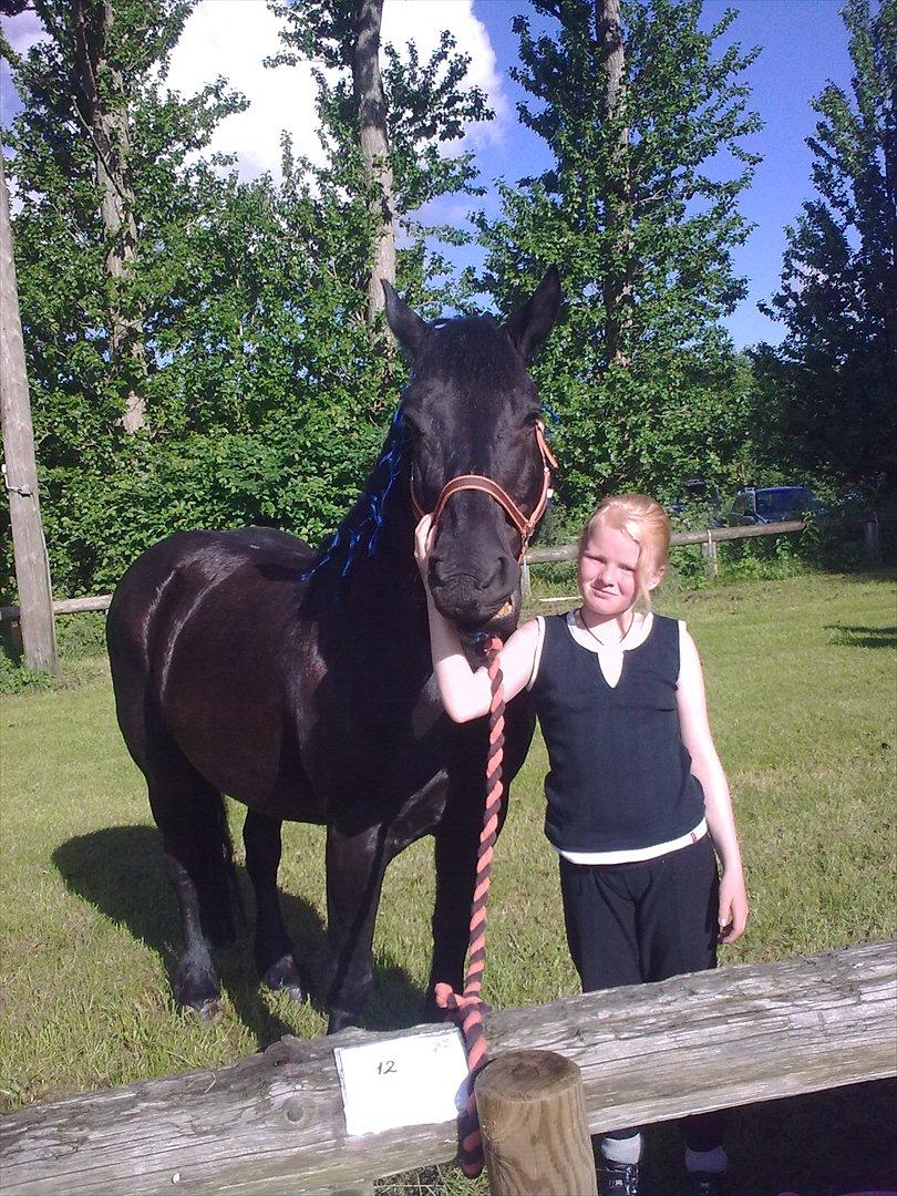 Merens de Cheval grillon billede 11