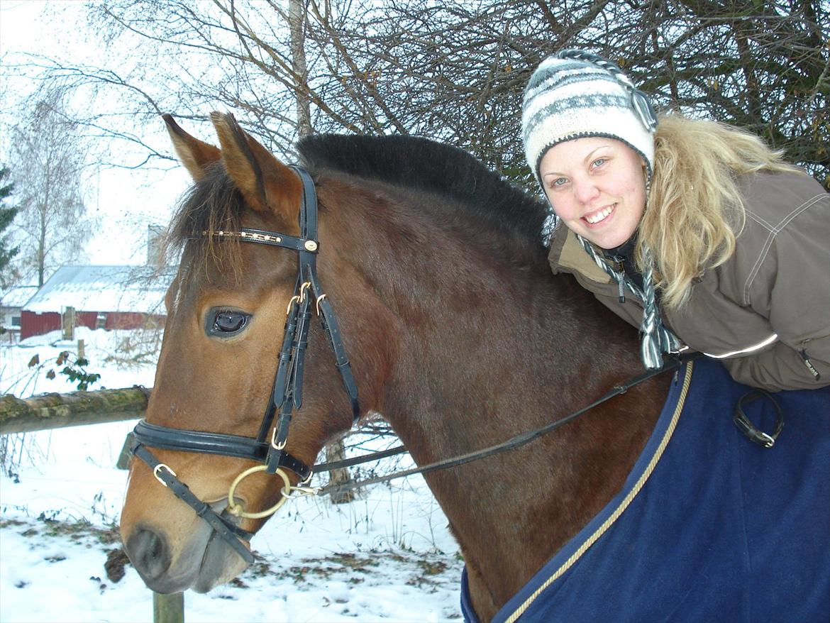 Anden særlig race Vincent Van Gogh billede 8