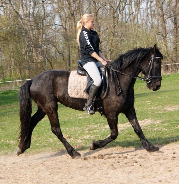 Frieser Sieta R.I.P billede 17