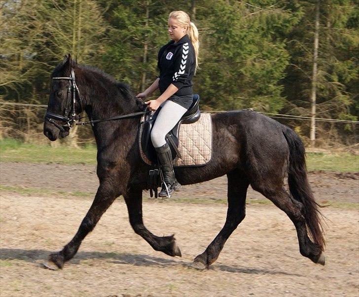 Frieser Sieta R.I.P billede 5