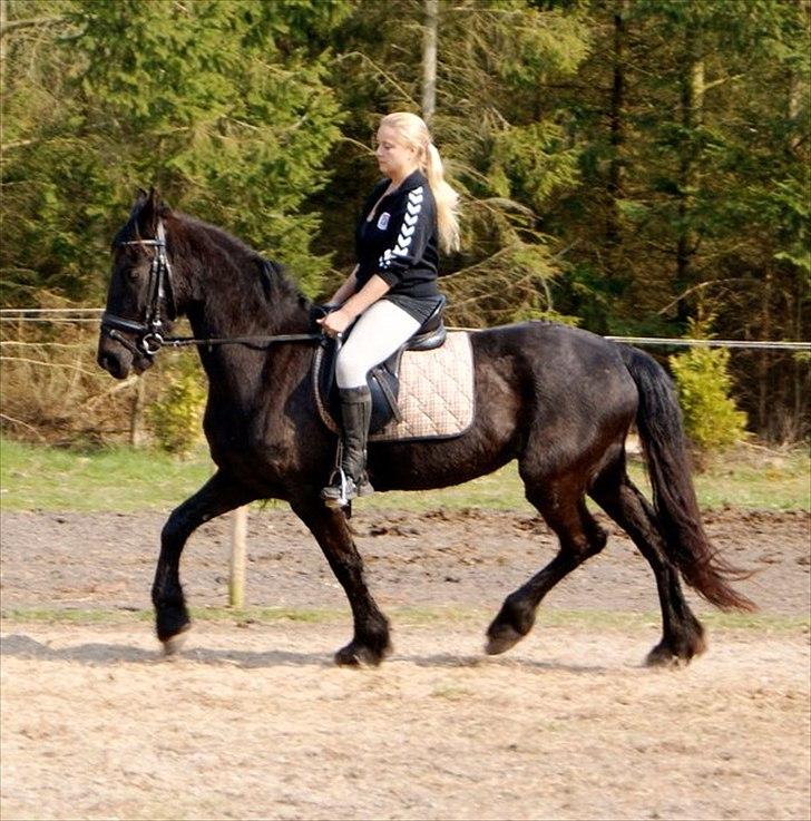 Frieser Sieta R.I.P billede 20