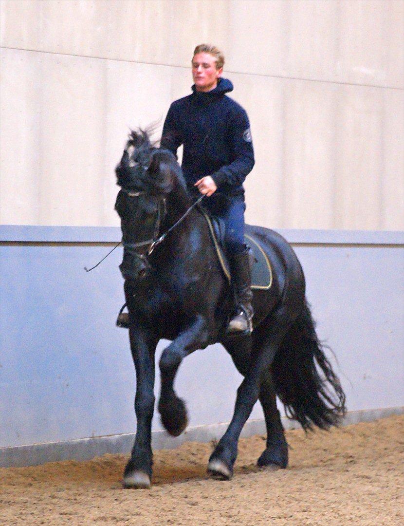 Frieser Wiebe V. billede 11