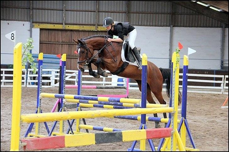 Anden særlig race Savannah - Stævne 100 cm (Pokal) Fotograf; Maria Rasch billede 1