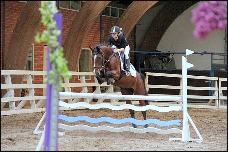 Anden særlig race Savannah - Stævne 100 cm (Pokal) Fotograf; Maria Rasch billede 10
