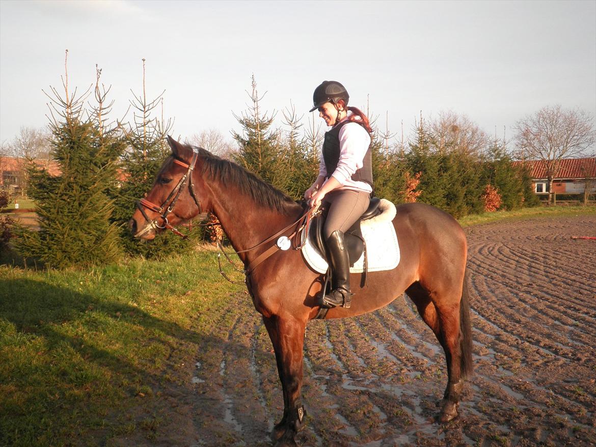 Anden særlig race Skovbjerggård´s Cavan billede 19