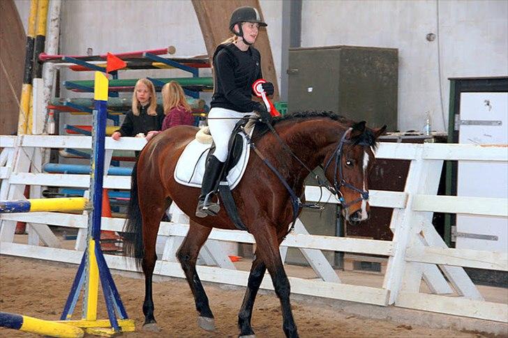 Anden særlig race Savannah - Stævne 100 cm (Løvfalds) Fotograf; Maria Rasch billede 15